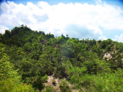 これからは岩のあるアルペンチックなところを歩いていく