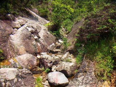 沢筋といってもこの水の量で歩いていると暑い