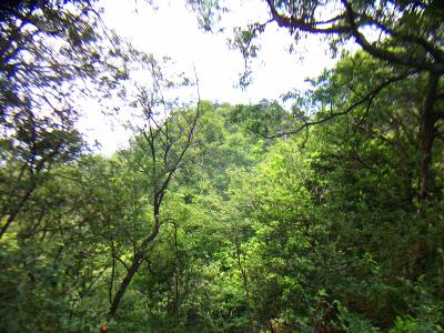 まずはこの鶏冠山ピークを目指してピストンする