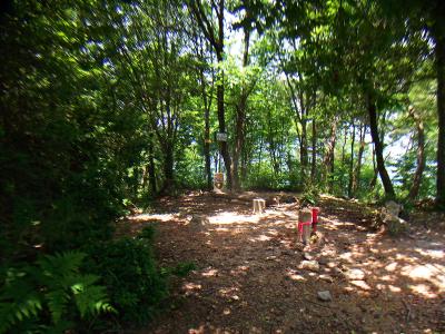 鶏冠山山頂(491m)に到着。三角点もあった