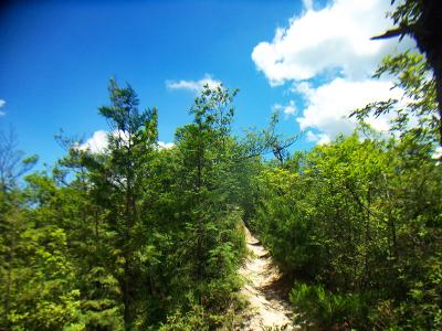 北峰縦走路出合にもどり天狗岩までこのような稜線道を歩いていく