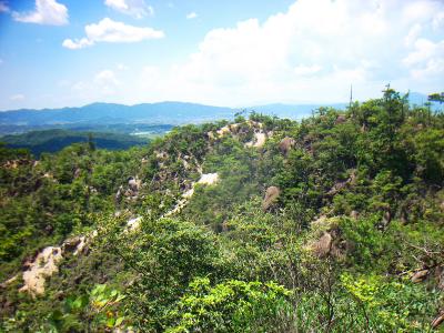 本当に岩だらけの山だね。この付近ではこういう山は珍しいかも