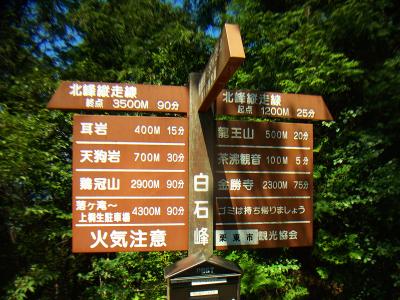 ここで分岐だけど、せっかくなので竜王山へピストンしようかと思った。時間はたっぷりあるしね