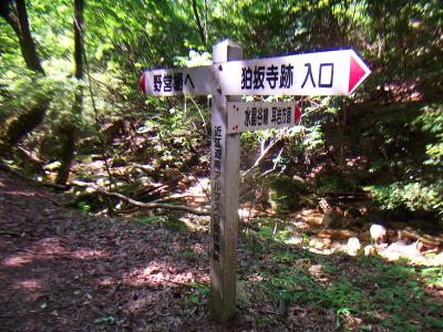 ここで下りきって野営場へ。ここからは登山道が終わり道路歩きとなって駐車場に戻ることになる