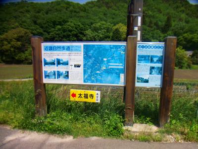 この看板があるので、右の千苅ダム堰堤へ向かう