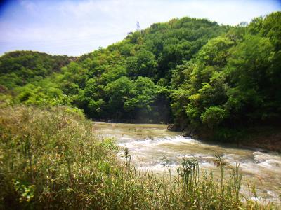 ここ最近雨量が多かったせいで濁っていた