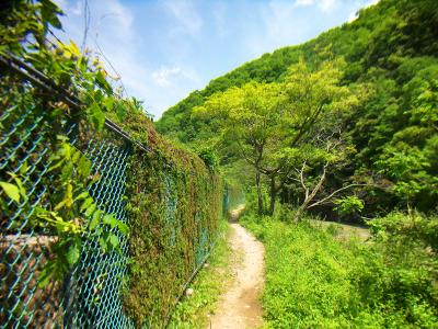 柵沿いの道を奥へ進んでいく