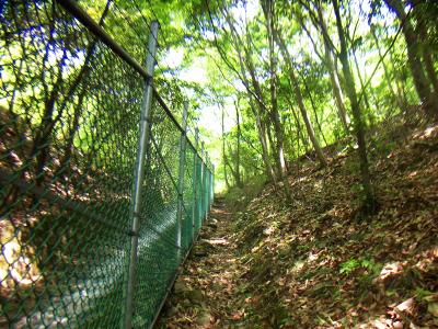 金網沿いを登っていく