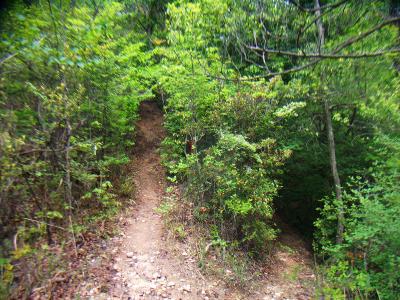 ここで分岐点。本当は左側のまっすぐが正解だったけど、今回はこれを右側へ進んでしまった