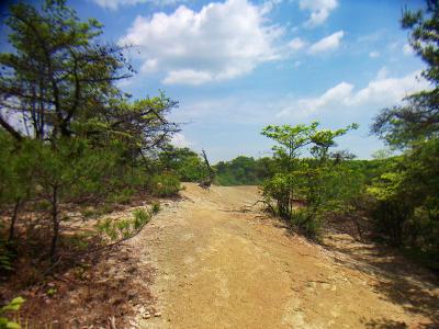 広場のようなところにでた。ここで迷ったが大岩岳は左へ行く