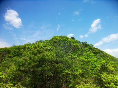 大岩ヶ岳のピーク。ここからもう一登り