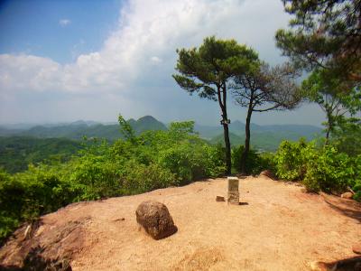 大岩岳山頂(384m)に到着。三角点もある