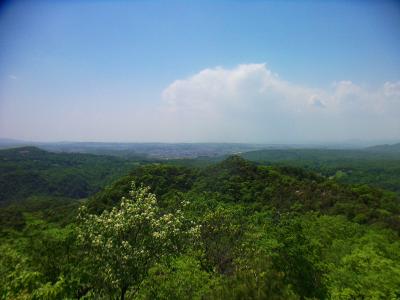 山頂からは市街地が見えたけど三田市あたりだろうか！？