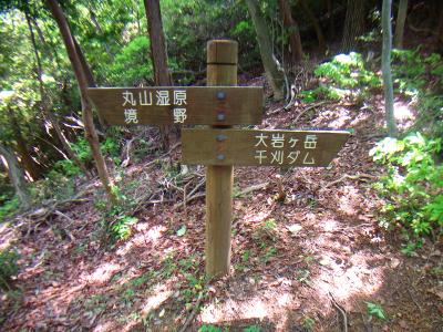 丸山湿原のほうへいくが途中で東大岩岳に立ち寄る