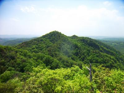 東大岩岳付近から大岩ヶ岳を眺める