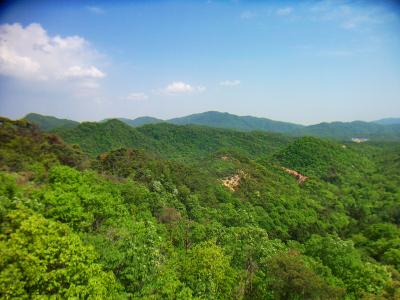 北東をみると岩肌が少しあるような山があるけど、この付近はこういう山多いのかな