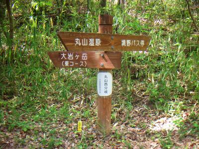 丸山西分岐。ここを丸山湿原のほうへ行く