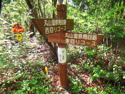 この分岐から関電道のほうへ入っていく。「火の用心」のプレートに従う