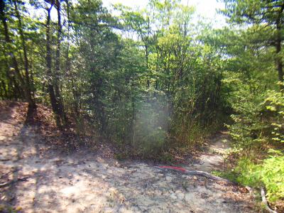 鉄塔No179手前。ここを右へ。写真には写ってないけど火の用心の看板にマジックで東山橋と書いていた