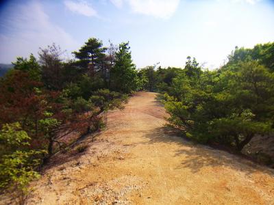 鉄塔No179からはこのような尾根道が続く