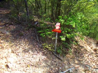 鉄塔No177手前の分岐点。ここもマジックで書いてあったけど東山橋のほうなので右側の道へ