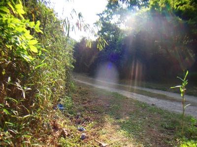 下ってくるとこういう道に出るのでここを左へ