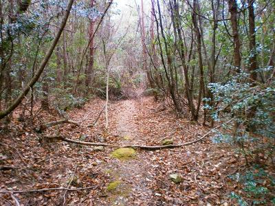 荒れた道が続く