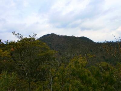 千丈寺山ピークが見えてきた。あそこまで行くのか・・・