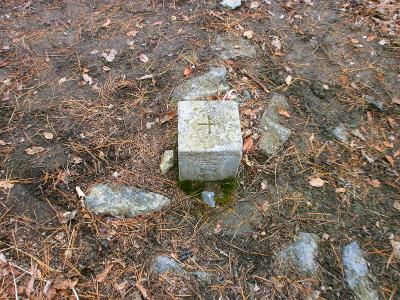 千丈寺山の山頂三角点
