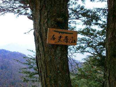 千丈寺山山頂(589.6m)に到着。プレート看板があった。ここでも一応、500m越えの山なのね