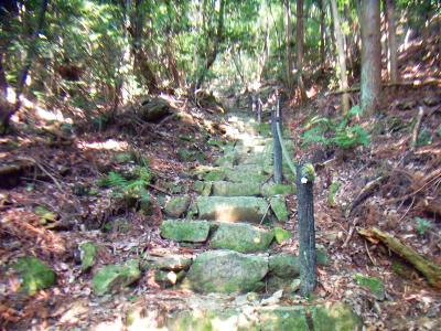 結構整備された登山道なのか石の階段とかある