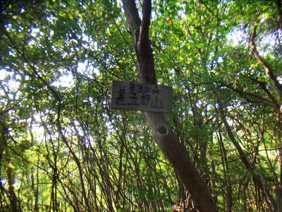 甚五郎山山頂(432m)到着。何にもないただのピークだけどね