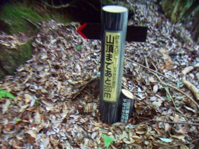 あと200m地点。登りはキツクないけど看板がいたるところにある