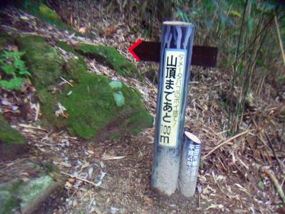 あと100m地点まできた。もう山頂はすぐそこ