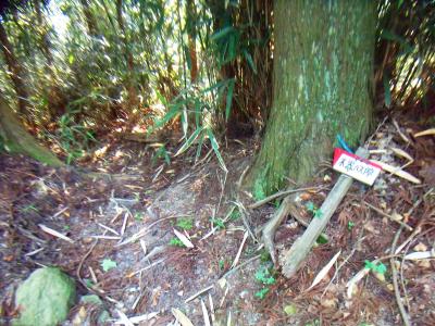 ここより、木器バス亭方面へ向かい宰相ヶ岳へ向かう