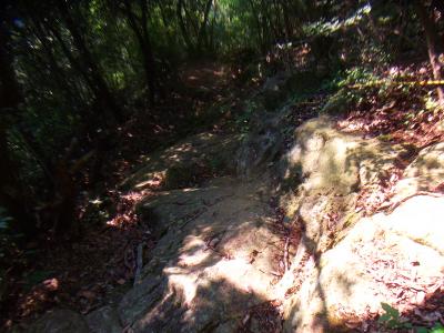 山の形を見てもわかるけど、ここから一旦下る