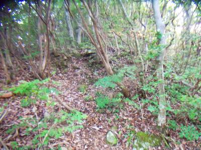 テープがあって、その通りに登っていく