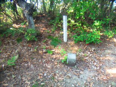 宰相ヶ岳山頂(500.4m)に到着。三角点まである