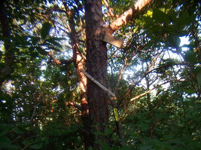 プレートには宰相ヶ岳と薄く残っていたけどほとんど消えていた。マジックで書いたものだったんだろう