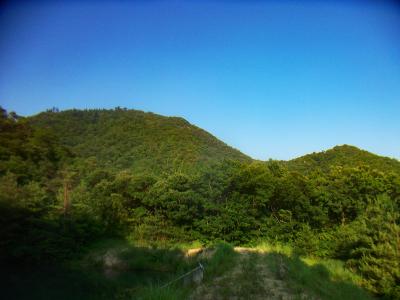 下山して改めて羽束山と甚五郎山を見る
