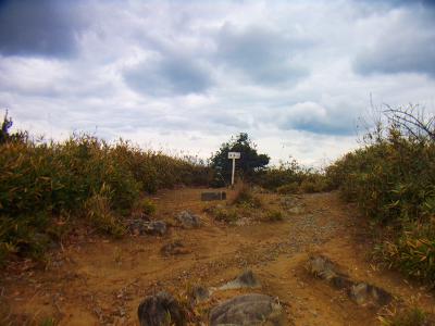 泉南飯盛山の山頂だ