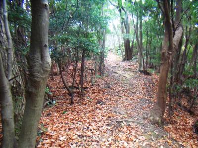 そこまで酷いアップダウンのないなだらかな道が続く。この道は本当に歩いていて気持ちいい