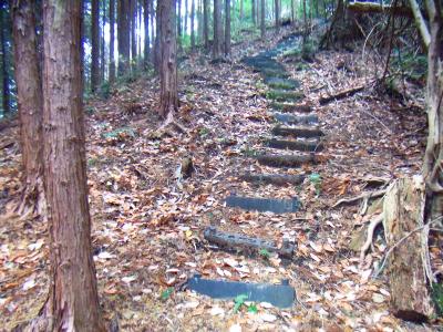 関電道特有のゴムの階段があったけど、このアップもそこまでしんどくなかった