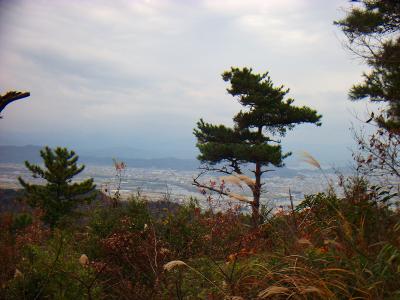 少し和歌山側の展望が見えた。流れる紀の川と和歌山市