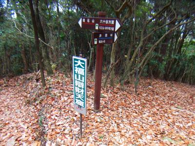 大福山山頂にあった看板。大福山辨財天窟って何かわからなかったけど、目的が違うのでスルー