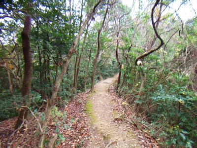 俎石山までの道もなだらかで歩きやすい。距離的にはもうすぐ着くはずなんだが・・・