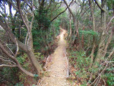 結構歩いている感じはしたけど、地図と実際に歩く距離差を思い知らされる