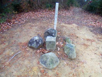 ここにも立派な三角点があった