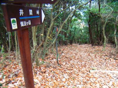 続いて井関峠、懴法ヶ嶽へ行く