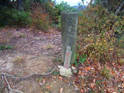 これが東峰かな。さっきの山頂とは違ってなんもない